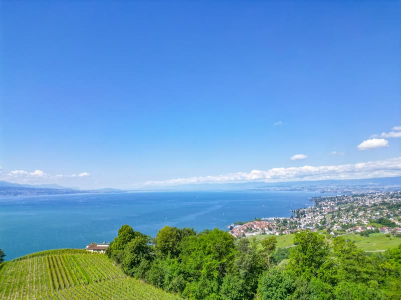 LUTRY - UNIQUE ! SOMPTUEUSE VILLA AU COEUR DES VIGNES (5)