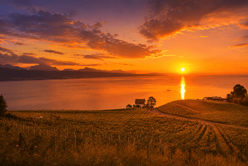 LUTRY - UNIQUE ! SOMPTUEUSE VILLA  AU COEUR DES VIGNES (2)