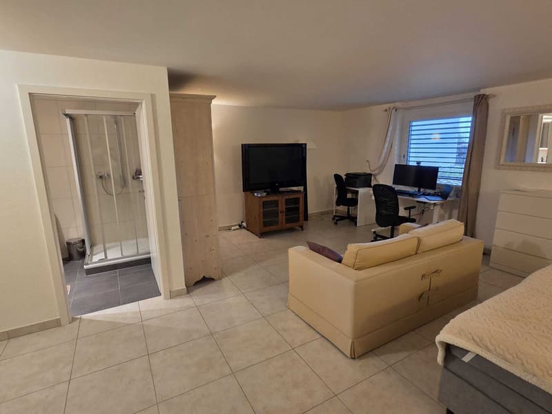 LUTRY - BEL APPARTEMENT DE 4.5 PIÈCES AVEC VUE SUR LE LAC ET LES (5)