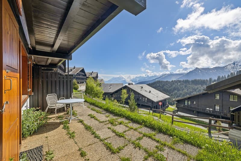 Charmant appartement de 2 pièces avec terrasse et vue sur les montagnes (3)