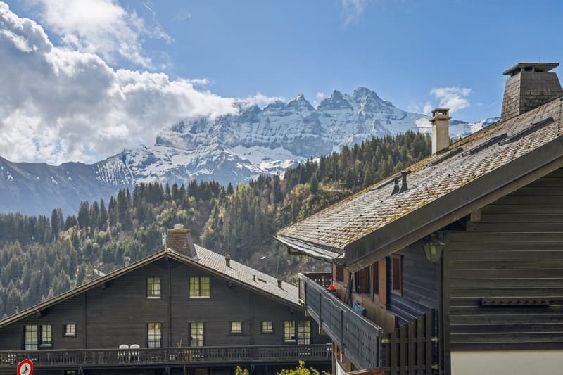 Charmant appartement de 2 pièces avec terrasse et vue sur les montagnes (2)