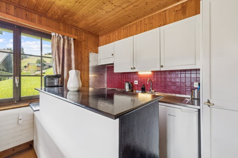 Charmant appartement de 2 pièces avec terrasse et vue sur les montagnes (7)
