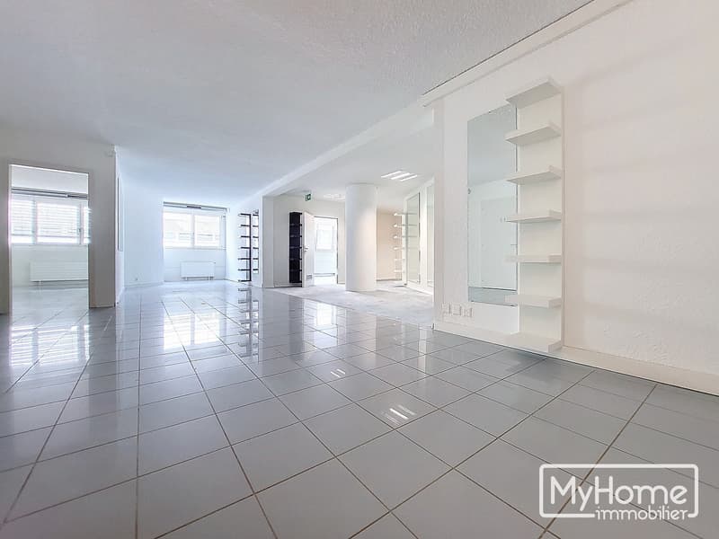 Superbe surface commerciale de 346m2 (3)