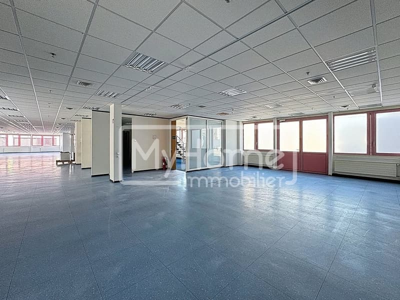 Grande surface commerciale de 1'485 m2 sur 2 niveaux à Lonay (6)