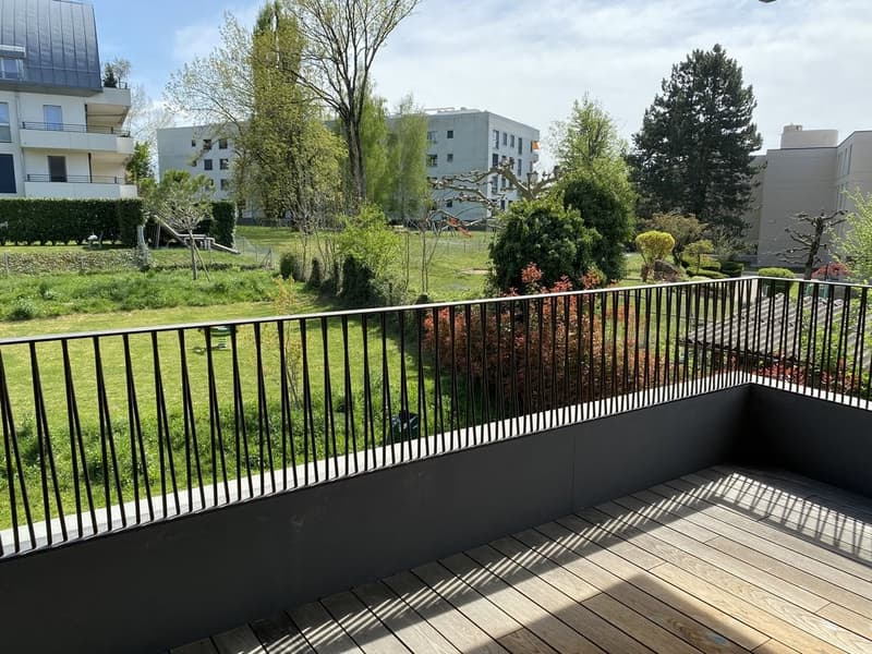 Vue.jpg