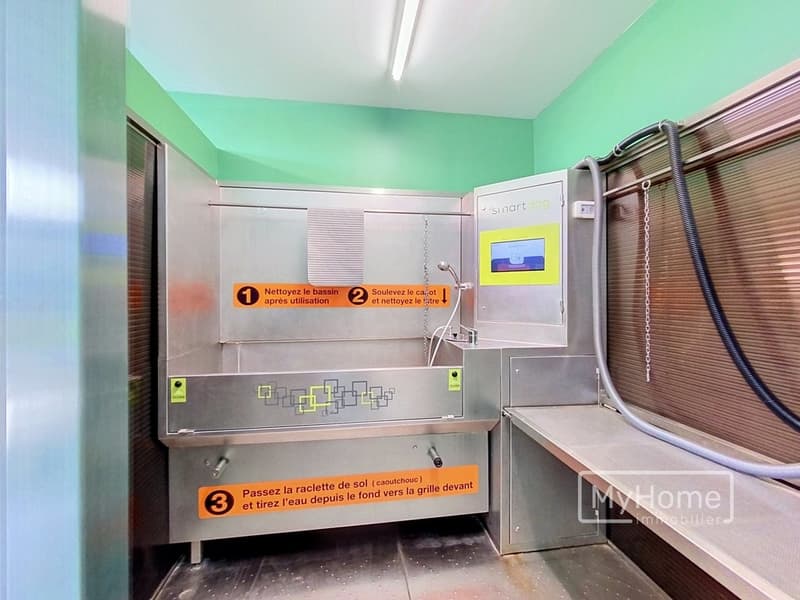 washdog-cossonay_00012.jpg