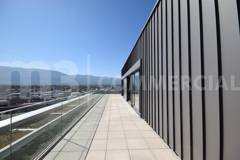 Lancy-Pont-Rouge - 560 m2 de bureaux + 78 m2 de terrasse sur 2 niveaux (13)