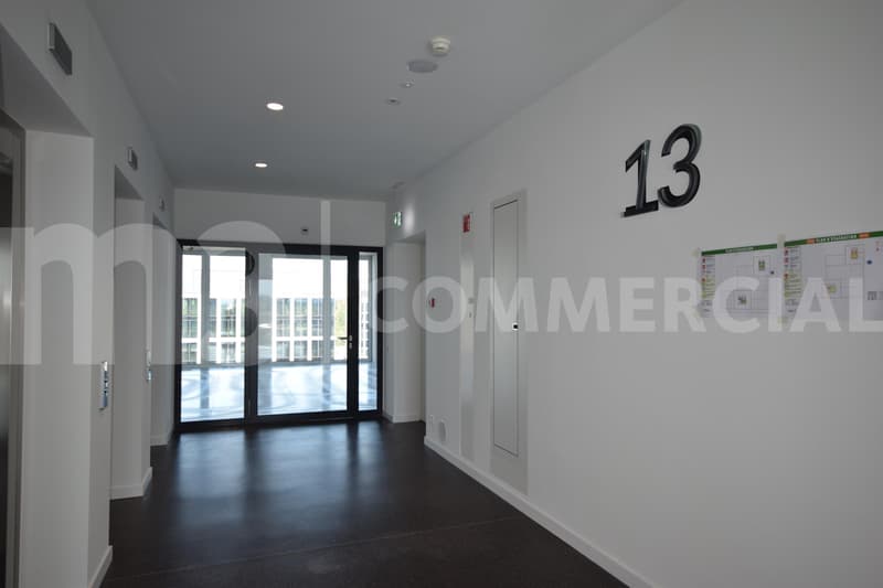 Lancy-Pont-Rouge - 560 m2 de bureaux + 78 m2 de terrasse sur 2 niveaux (2)