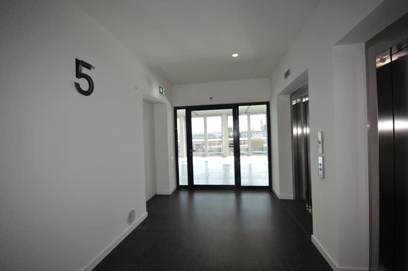 Surfaces de bureaux de 700 m2 à Lancy Pont-Rouge (2)