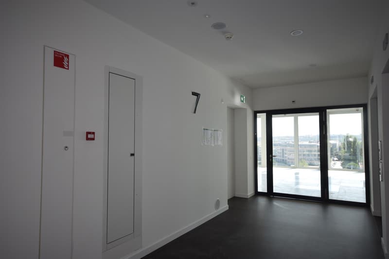 Surfaces de bureaux de 1160 m2 à Lancy Pont-Rouge (2)