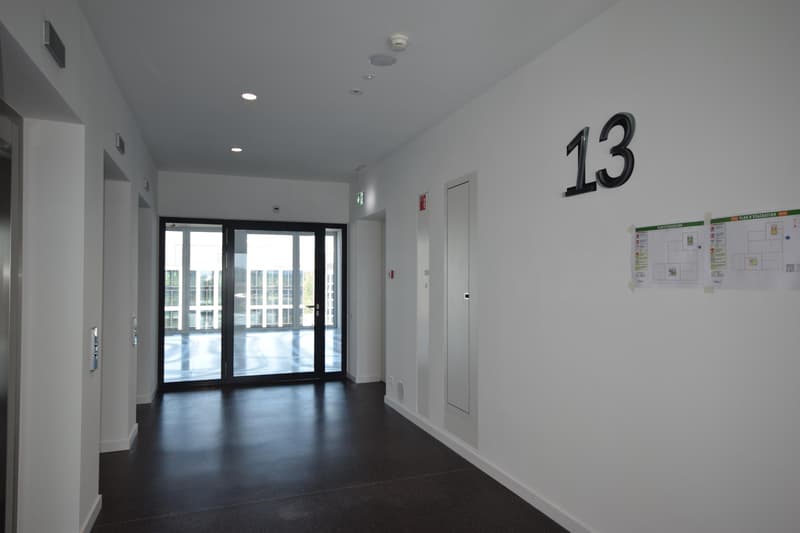 Surfaces de bureaux de 740 m2 à Lancy Pont-Rouge (2)