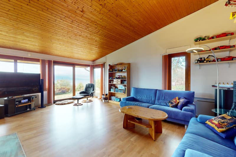Belle maison individuelle avec vue panoramique sur le lac à Blonay (1)