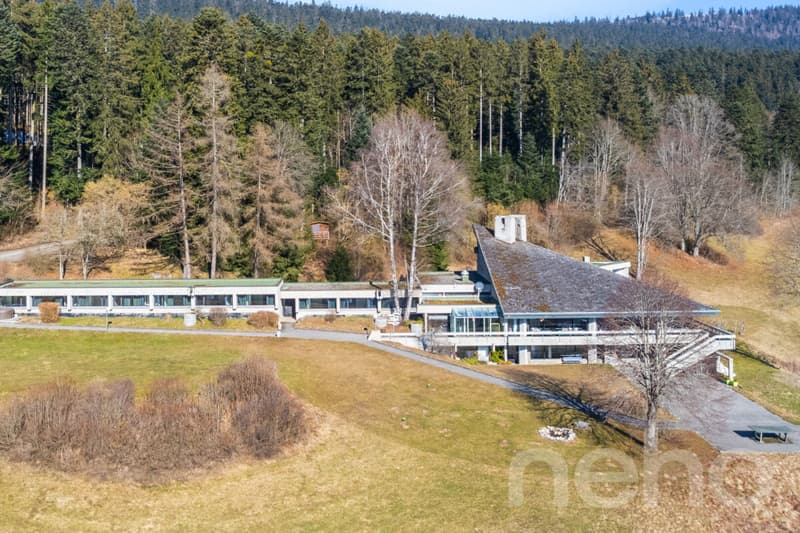 Magnifique hôtel dans cadre idyllique sur 18'000m2 de terrain! (2)