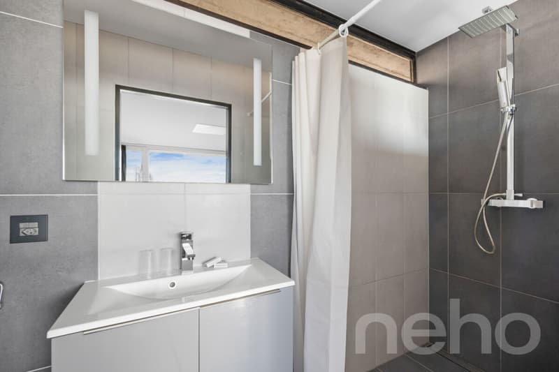 Magnifique hôtel dans cadre idyllique sur 18'000m2 de terrain! (9)