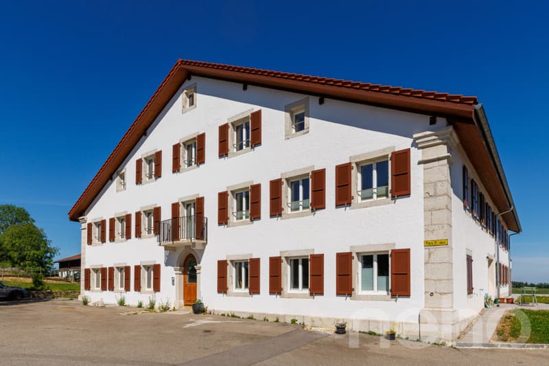 Splendide 5.5p sous les combles orienté sud dans bâtiment historique! (3)