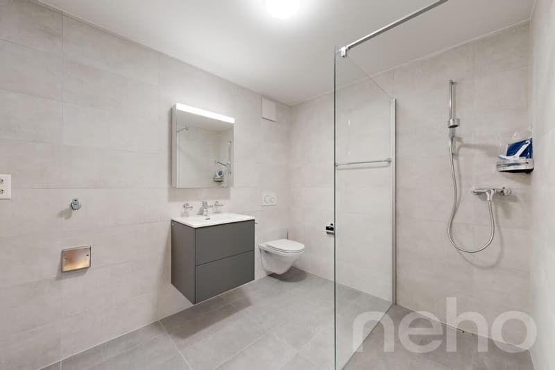 Superbe appartement de 3.5p orienté sud-ouest dans bâtiment historique (8)