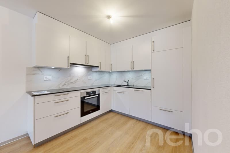 Superbe appartement de 3.5p orienté sud-ouest dans bâtiment historique (4)