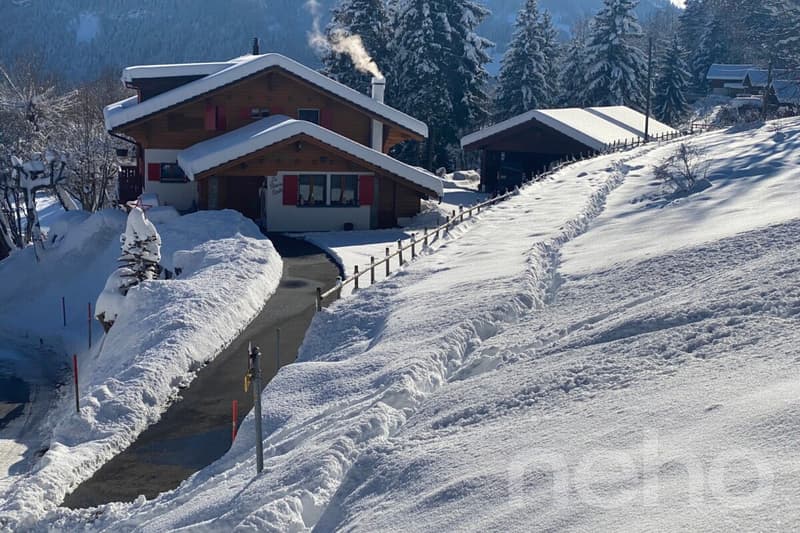 La Bonne Étoile  ? Chalet incluant 3 parcelles constructibles (4)