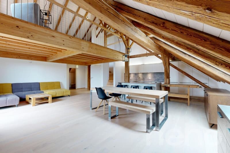 Magnifique appartement dans une ancienne ferme (2)