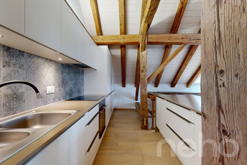Magnifique appartement dans une ancienne ferme (7)