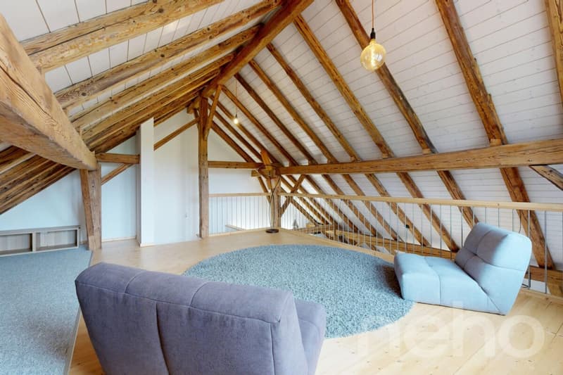 Magnifique appartement dans une ancienne ferme (11)