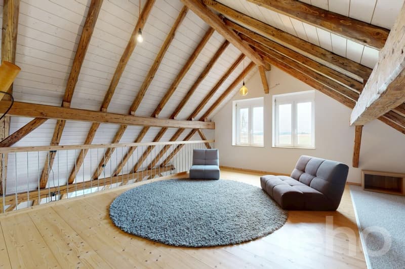 Magnifique appartement dans une ancienne ferme (12)