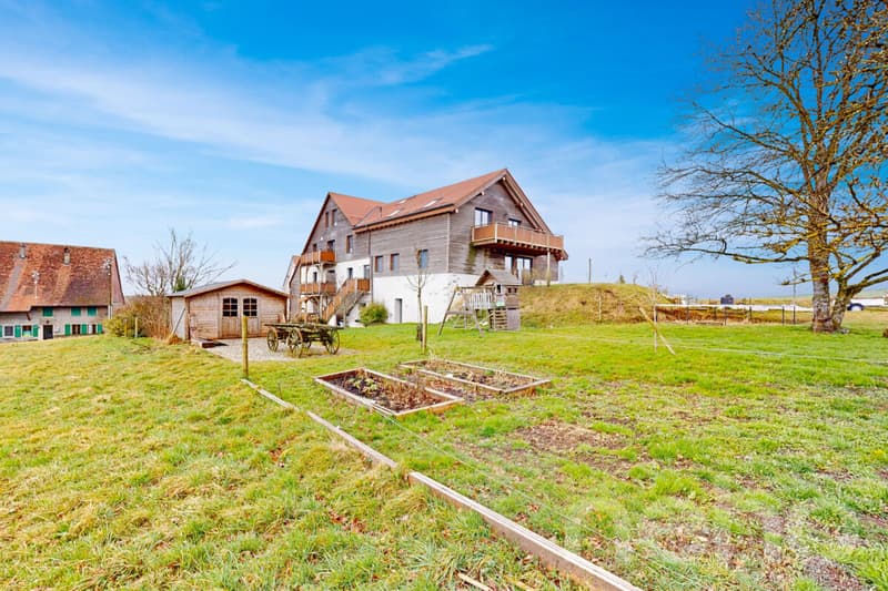 Magnifique appartement dans une ancienne ferme (3)