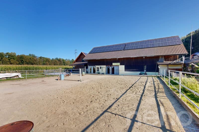 Ideale Pferdeliegenschaft mit 3 Wohnungen in Bischofszell (10)