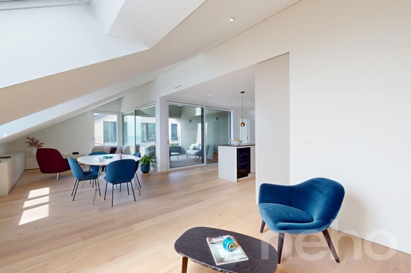 Superbe duplex en attique avec terrasse et vue panoramique (7)
