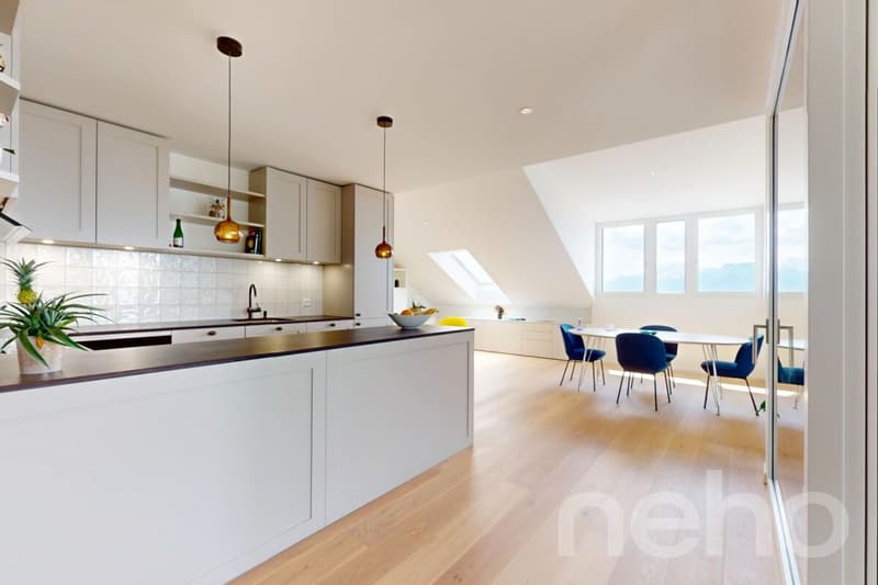 Superbe duplex en attique avec terrasse et vue panoramique (8)