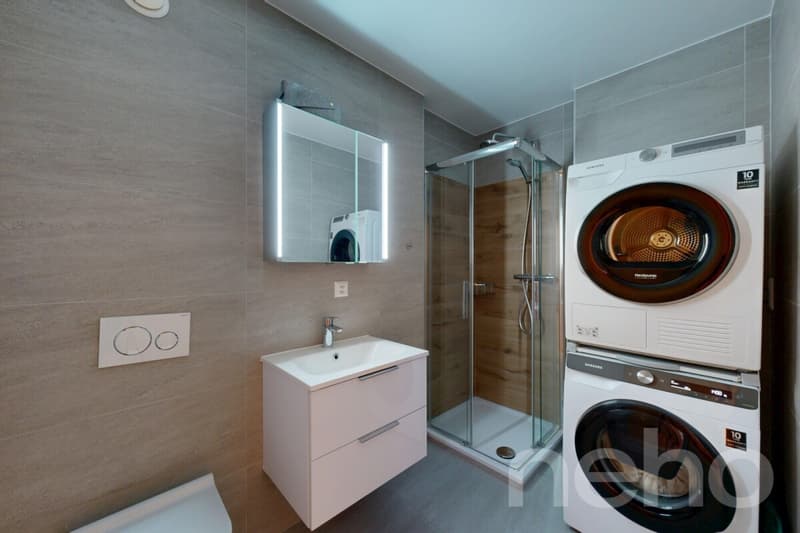 Splendide 4,5 pièces à la Fusion - Martigny (9)
