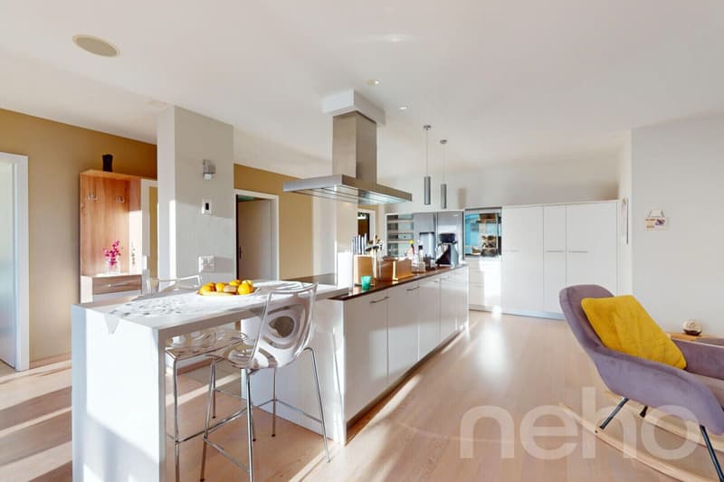 Appartement loft de 3,5 pièces, prestations de qualité (3)