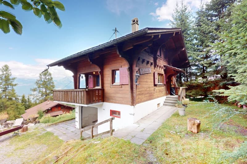 Magnifique chalet vue panoramique montagnes et lac (2)