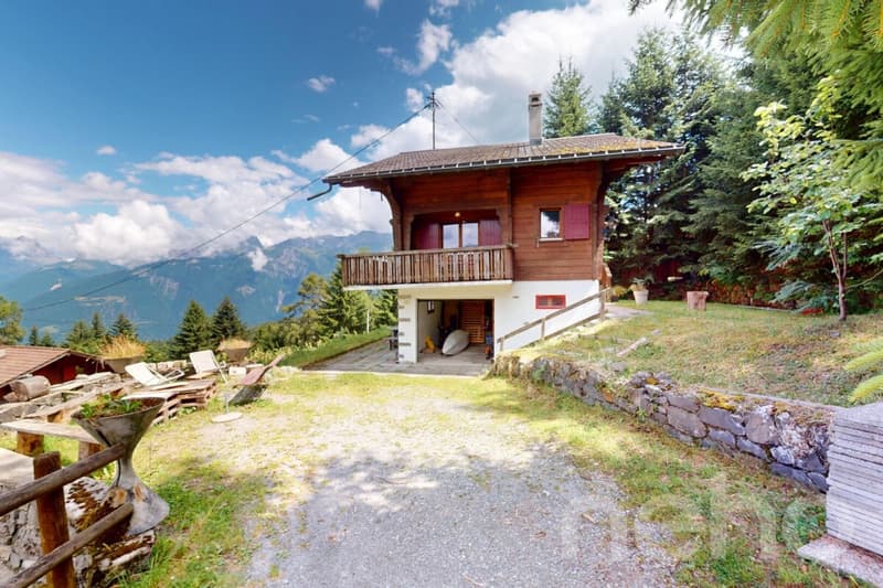 Magnifique chalet vue panoramique montagnes et lac (3)