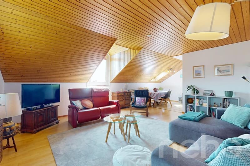 Exclusif: Spacieux appartement de 3 chambres dans les combles (4)