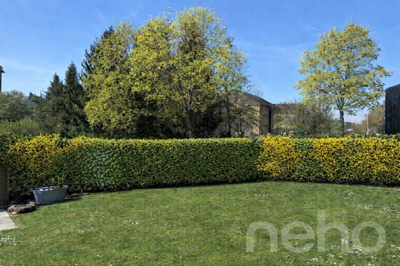 Einfamilienhaus mit Garten in Niederwenigen, nähe Zürich (10)