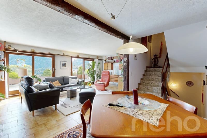 Maison familiale lumineuse avec vue dégagée (4)