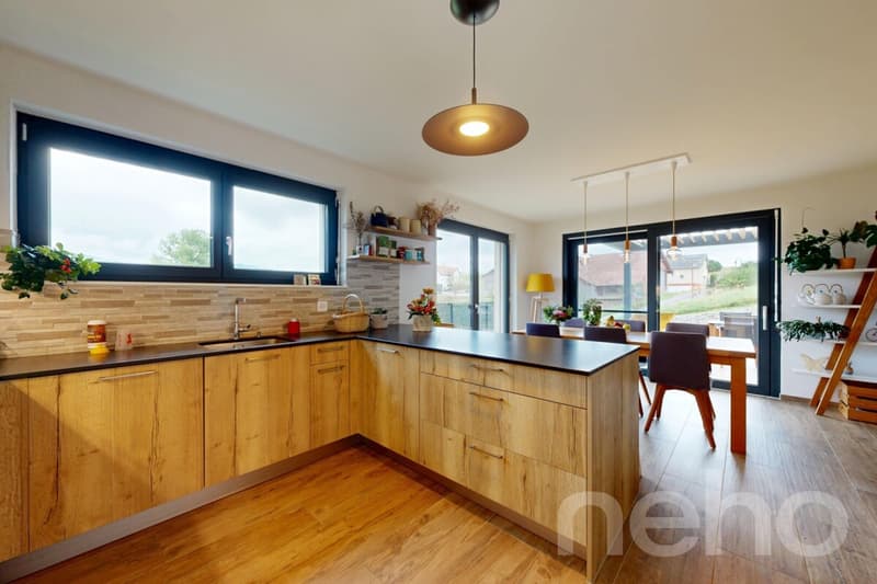 Maison individuelle neuve avec garage et vue dégagée! (4)