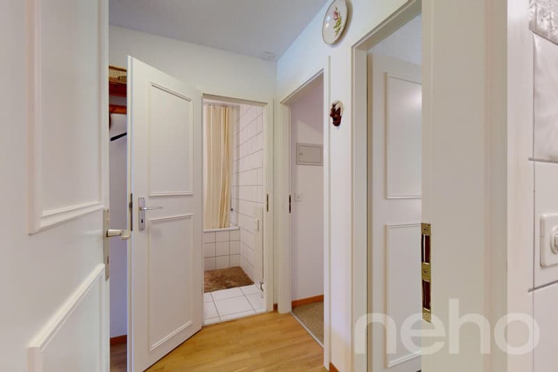 Gryon - Appartement 2 chambres - Vue sur les Muverans et Dents du Midi (8)