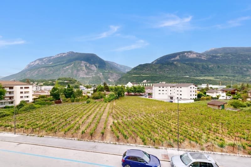 Appartement 3.5 pièces avec garage ? Opportunité d?investissement (11)