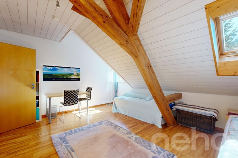 Grosszügige und Charmante Dachwohnung mit grossem Balkon (8)