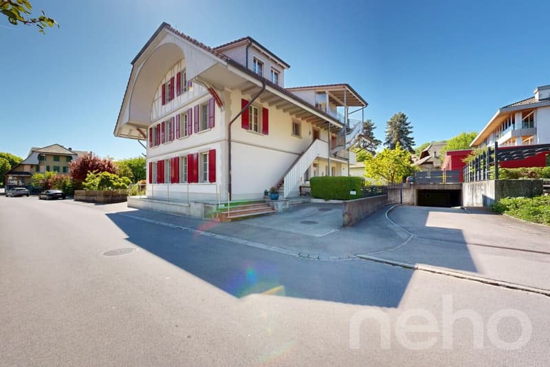 Grosszügige und Charmante Dachwohnung mit grossem Balkon (3)