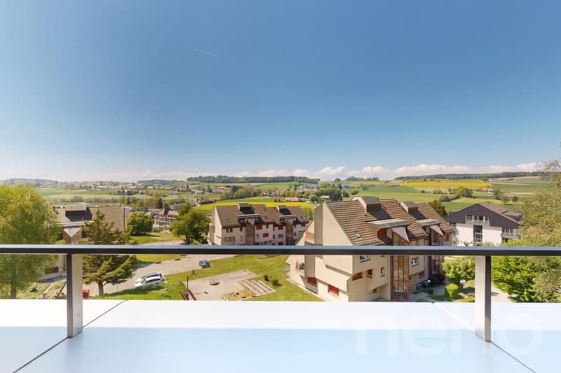 Duplex en attique lumineux avec vue dégagée à deux pas de la gare (2)