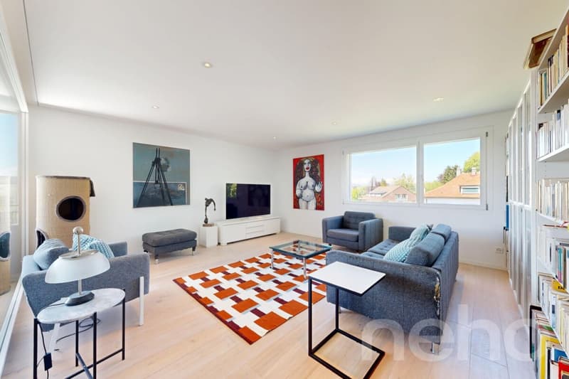 Duplex en attique lumineux avec vue dégagée à deux pas de la gare (5)