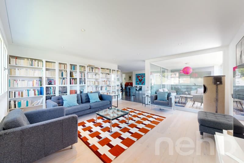 Duplex en attique lumineux avec vue dégagée à deux pas de la gare (4)