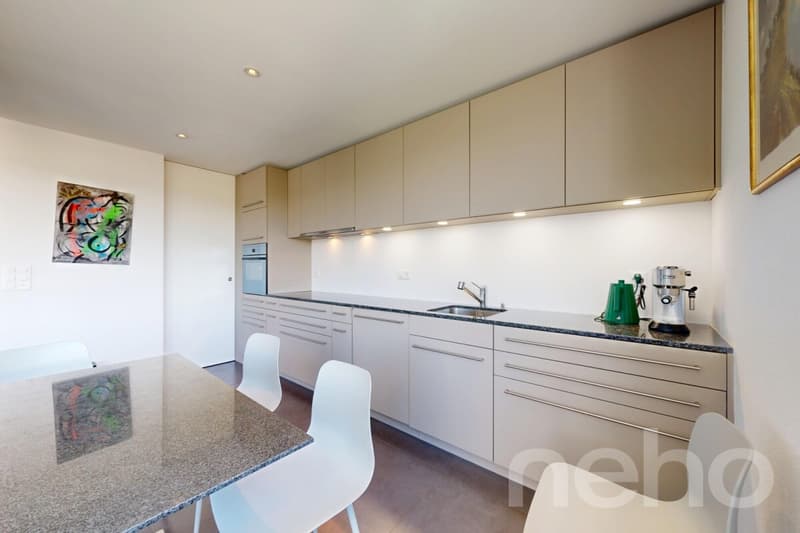 Duplex en attique lumineux avec vue dégagée à deux pas de la gare (9)