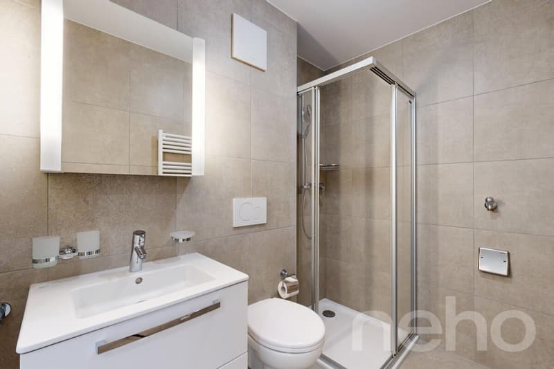 Appartement 2.5 56m² avec Véranda de 22m² (11)
