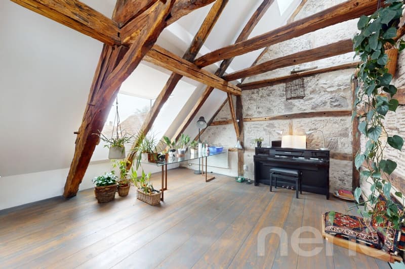 Einzigartiges Bijou mit modernem Wohnkomfort und grosser Terrasse (2)