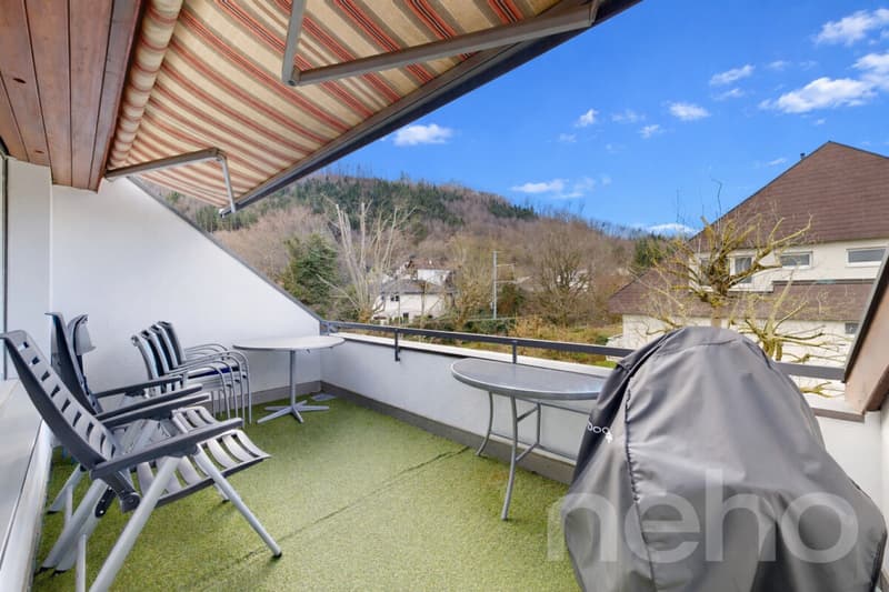 Wohnen mit Charme: Lichtdurchflutete Dachwohnung mit Terrasse (1)