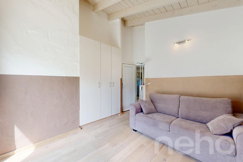 Superbe Villa 6.5 de 190m² avec piscine récente & jardin (8)